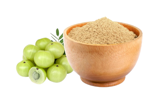 b7k-rHT-5_KodiXnyCPlVI3v_Ho6Irbc7EEUrZ7nc_ltzNXG9Qd2FAJ6qefw5mcNf0X7joVauMzJnsSrqgZYI6_22zQmVBuTLi87fjfYSt0-removebg-preview